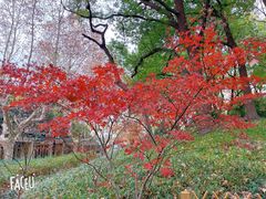 -徐家汇源景区-衡山公园