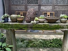-杨家堂村