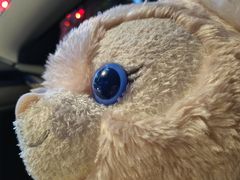 -茶油香闽南菜·花园餐厅(前埔店)