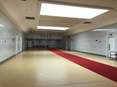 -重庆市奥林匹克体育中心-游泳跳水馆