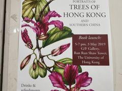 -香港大学