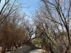 -白塔山公园