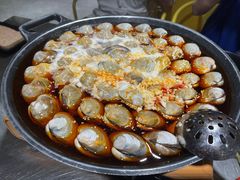 大白贝-水哥卜卜贝(东晓·胜汇里店)