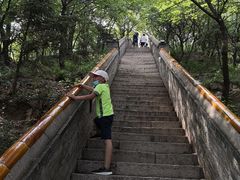 -妙峰山风景名胜区