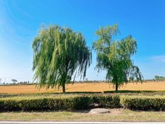 -西山风景区