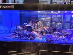 -皇朝会.经典传统粤菜(外滩店)