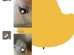 -芭比堂动物医院·犬猫全科·异宠专科(雁塔分院)