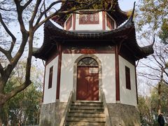 -上海佘山国家森林公园天马山园