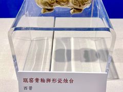 -温州博物馆