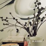 假期N刷咖啡馆系列——晓智咖啡