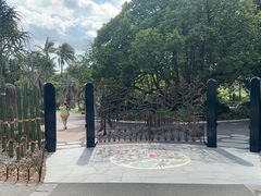 -墨尔本皇家植物园