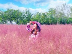 -天津东丽湖风景区