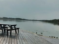 -东滩湿地公园观海楼餐厅