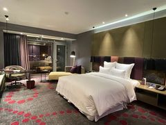 -南京禄口机场雅高铂尔曼大酒店