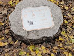 -上海佘山国家森林公园天马山园