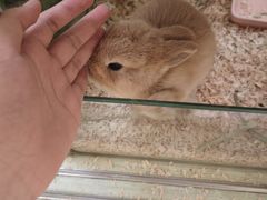 -龙猫仔乐园(惠福东路店)