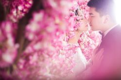 点击看大图 -太郎花子婚纱摄影艺术中心