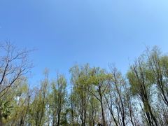 -大理洱海