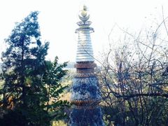 -颐和园
