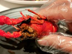 -红盔甲·小龙虾(天钥桥店)