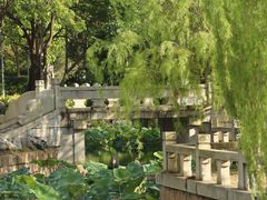 -厦门园林博览苑