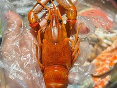 -舟市水产蒸汽活海鲜自助(卓悦汇店)