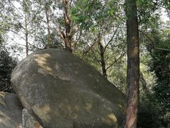 -火炉山森林公园