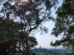 景点-景山公园