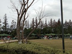 -上海长兴岛郊野公园