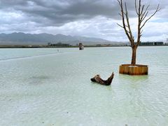 -青海湖国家重点风景名胜区