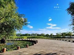 -绿堤公园