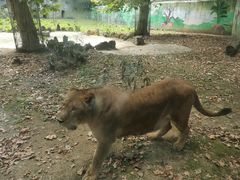-黔灵山公园