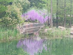 -尚湖风景区