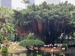 -九龙公园