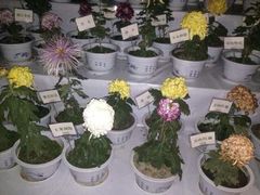 android_upload_pic-迎泽公园