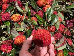 -永辉超市(嘉定宝龙广场店)