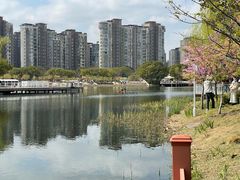 -新江湾城公园