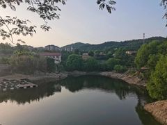 -清雅臻品·竹林院落·新派青岛菜(崂山店)