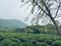 -九龙潭景区
