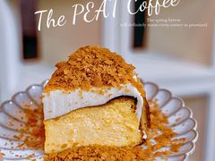 -The PEAT Coffee(深业中城店)