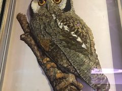 -陕西自然博物馆