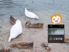 -金银湖国家城市湿地公园