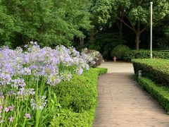 -北外滩滨江绿地