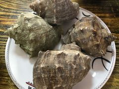 -人和啤酒屋海鲜大排档(营口路店)