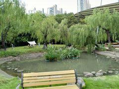 -苏州河梦清园环保主题公园