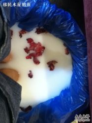 -艾妃罗高科美肤美甲美睫健康管理