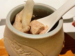 -梧桐