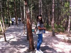 -帽儿山国家森林公园