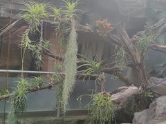 -北京植物园-展览温室