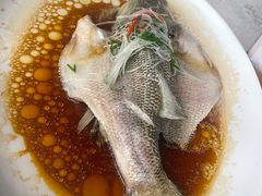 -古南都·老广东酒楼(龙江店)